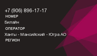 9068961717